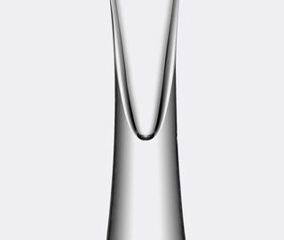 LSA International 'Moya' Champagne flute, set of two TRANSPARENT LSAI20MOY546TRA