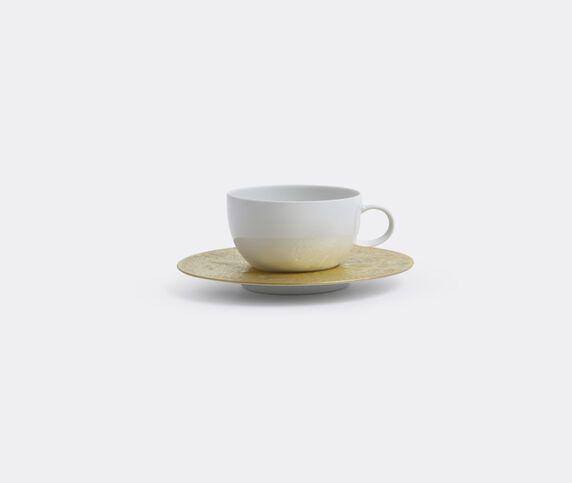 Rosenthal ‘Magic Flute Sarastro’ low cup with saucer, low