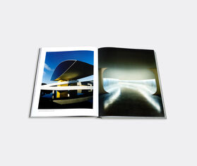 Assouline Oscar Niemeyer TAUPE ASSO15OSC939PUR