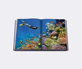 Assouline 'Ocean Wanderlust' BLUE ASSO23OCE644BLU