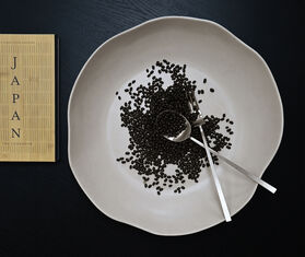 101 Copenhagen &#39;Kogei&#39; salad servers, brushed steel SILVER COPH24KOG666SIL