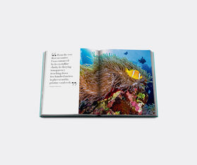 Assouline 'Red Sea: The Saudi Coast' MULTICOLOUR ASSO22RED848MUL