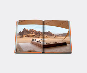 Assouline 'Alula Ever' MULTICOLOUR ASSO22ALU562MUL