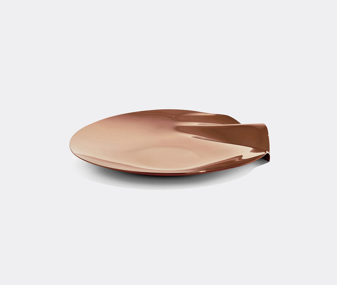 Shop Zaha Hadid Design Decorative Objects Rose Gold Uni