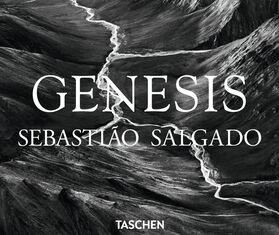 Taschen &#39;Sebasti&atilde;o Salgado. GENESIS&#39; MULTICOLOUR TASC21SEB725MUL