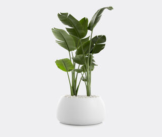Diabla 'Gobi 3' planter WHITE DIAB20GOB874WHI