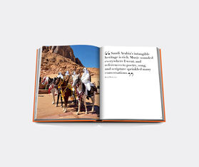 Assouline 'Alula Ever' MULTICOLOUR ASSO22ALU562MUL