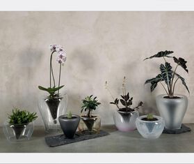 Valner Glass Glass plant pot, medium TRANSPARENT VAGL17GLA931TRA