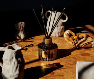 Trudon 'Ernesto' reed diffuser GREEN CITR21ERN318GRN