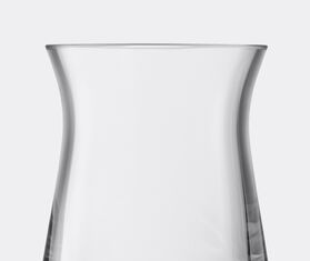 LSA International 'Flower Garden Posy' vase TRANSPARENT LSAI20FLO736TRA