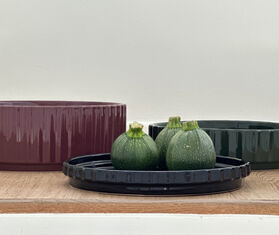 XLBoom &#39;Ikon&#39; plate, green GREEN XLBO23IKO564GRN