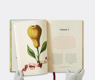 Taschen 'J C Volkamer: The Book of Citrus Fruits' MULTICOLOUR TASC22JCV250MUL