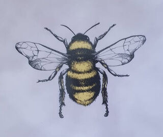 Les-Ottomans 'Insetti' porcelain plate, bee PURPLE OTTO21INS801MUL