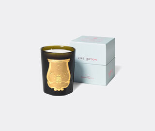 Trudon 'Ernesto' candle, large GREEN CITR20ERN045GRN