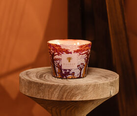 Baobab Collection &#39;Sacred Trees Massasso&#39; candle, small, violet PURPLE BAOB25SCE820PUR