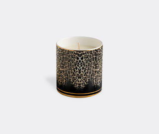 Roberto Cavalli Home 'Queen Of Sicily' scented candle MULTICOLOUR RCHO23QUE888MUL