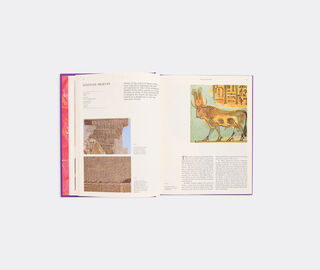 Thames &amp; Hudson 'Prophecies: Omens, Auguries, Divination, Oracles, Dreams, Apocalypse' MULTICOLOR THHU26PRO633MUL