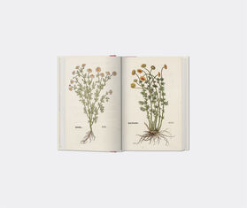 Taschen 'Leonhart Fuchs. The New Herbal' MULTICOLOUR TASC22LEO662MUL