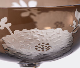 POLSPOTTEN &#39;Peony&#39; coupe, set of six MULTICOLOUR POLS22COU126MUL