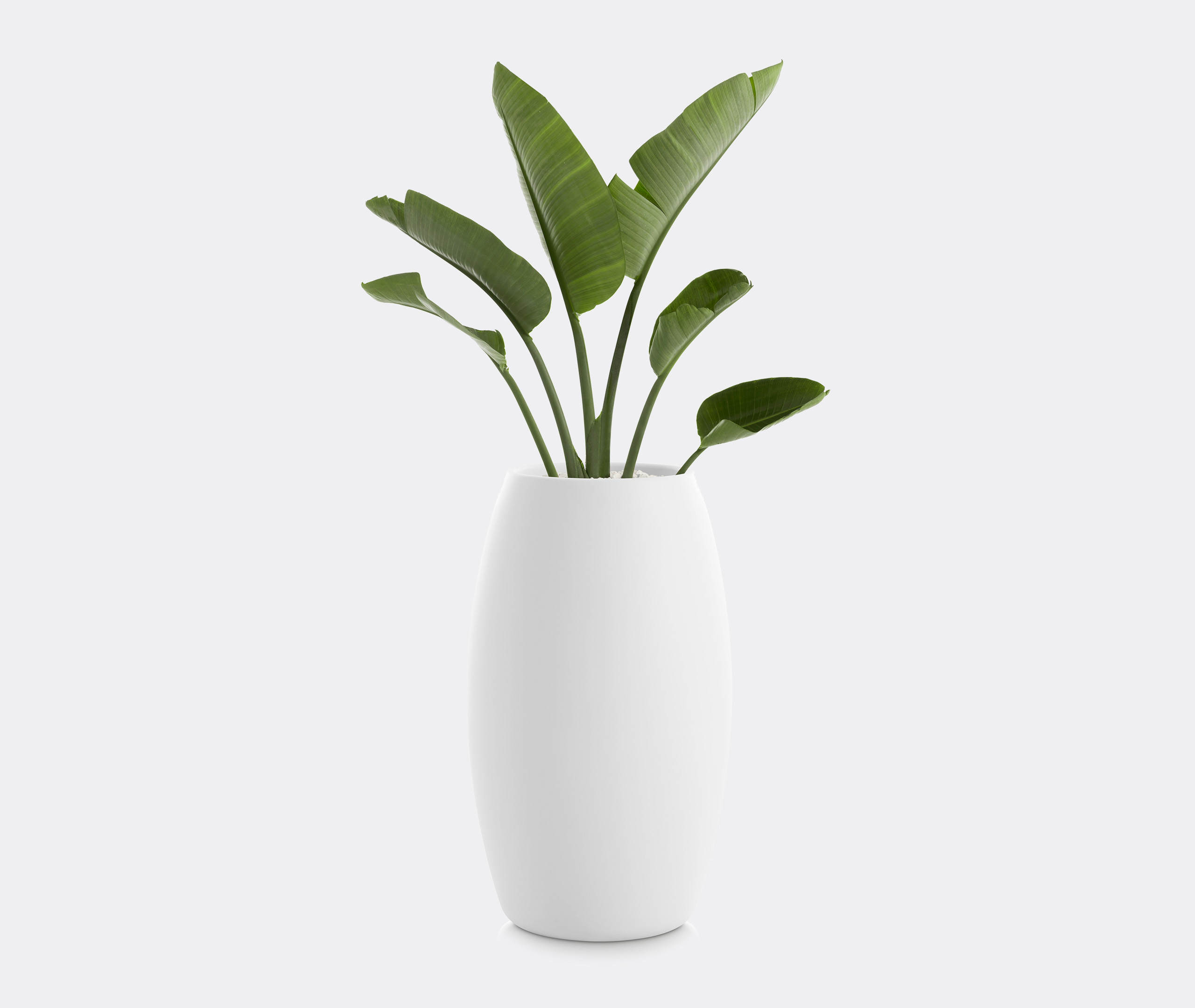 Diabla Vases White Uni In White