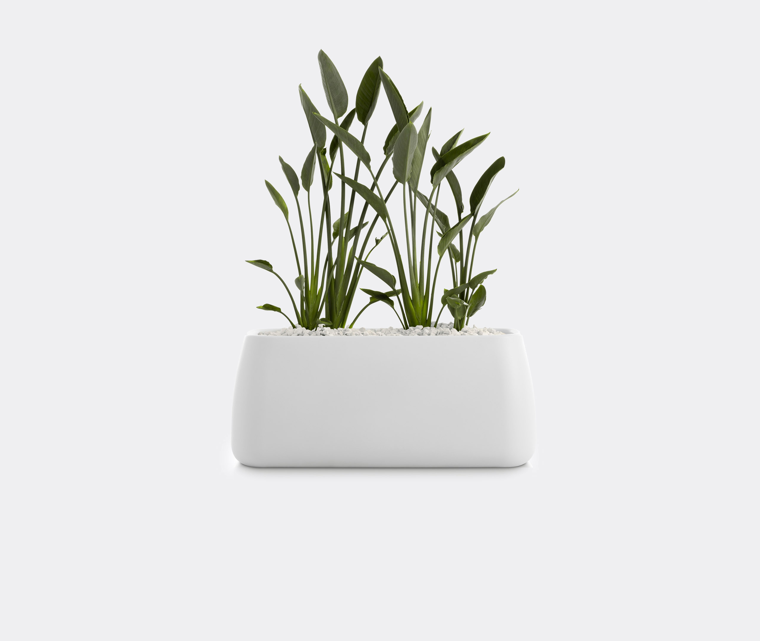 Diabla Vases White Uni In White