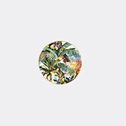 Simone Guidarelli Home 'jungle' Dessert Plate, Multicolor -  Tableware Multicolour Uni