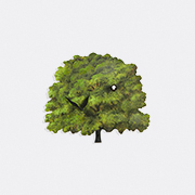 Domeniconi 'albero' Cuckoo Clock, Green -  Mirrors And Clocks Green Uni