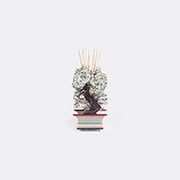 VESTA 'jasmine Bonsai' Diffuser, Small, White -  Candlelight And Scents White Uni