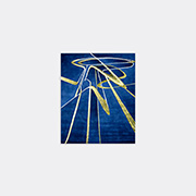Illulian Rugs Blue Uni In Blue