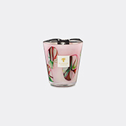 Shop Baobab Collection Candlelight And Scents Pink Uni