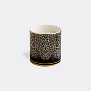 Roberto Cavalli Home 'queen Of Sicily' Scented Candle -  Candlelight And Scents Multicolor Uni