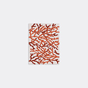 Illulian Rugs Multicolor Uni In Multicolor