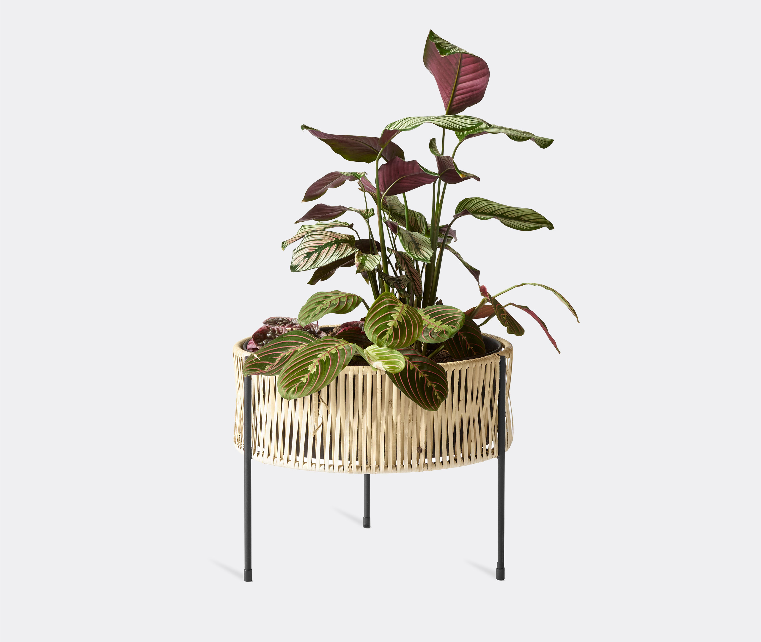 Menu Vases Black / Rattan Uni In Black / Rattan