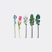 VESTA 'pensami' Flower, Set Of Five, Multicolor -  Decorative Objects Multicolor Uni