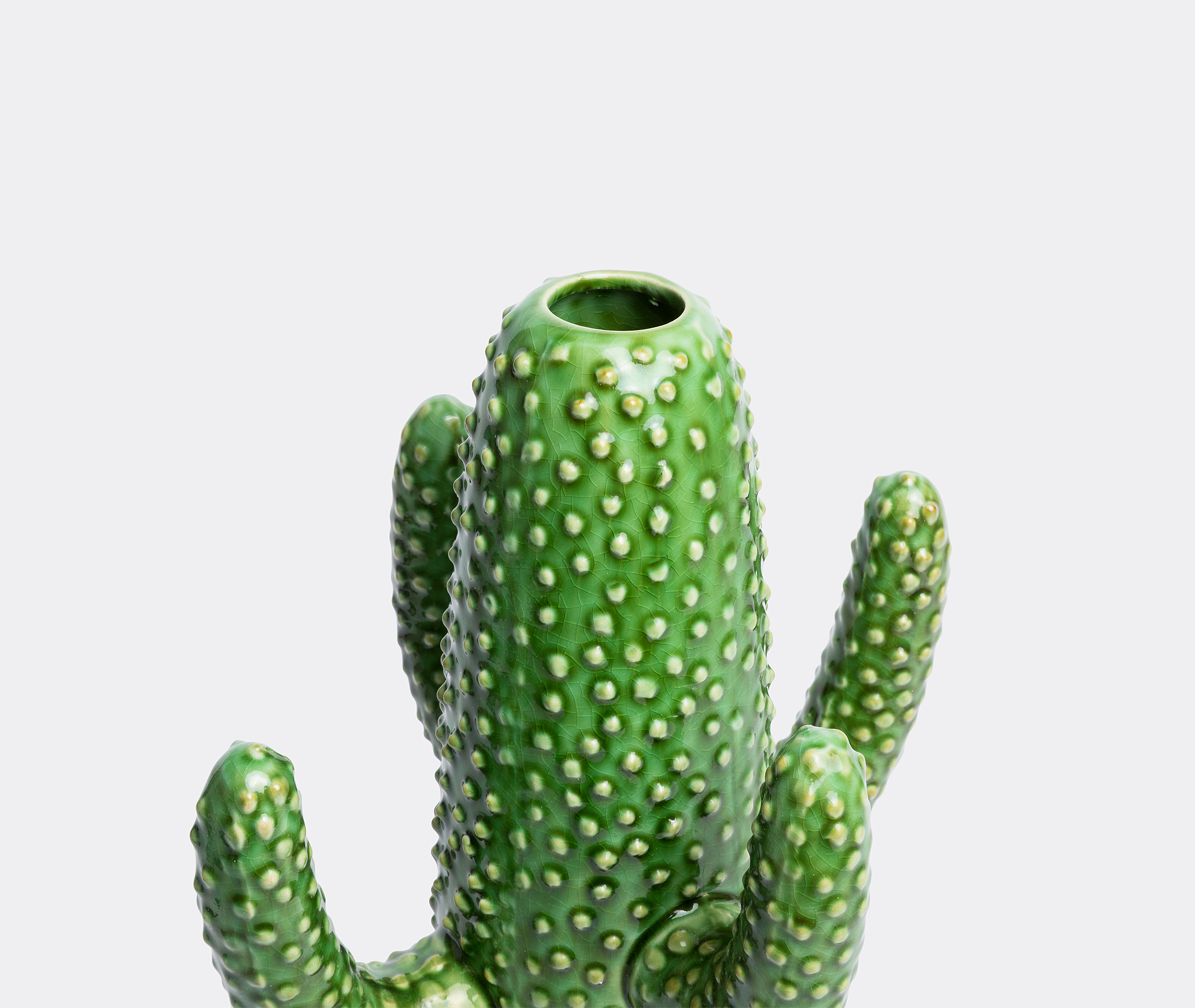 'Cactus' vase, large by Serax Vases FRANKBROS
