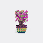 VESTA 'magnolia Bonsai' Diffuser, Large, Pink -  Candlelight And Scents Violet Uni